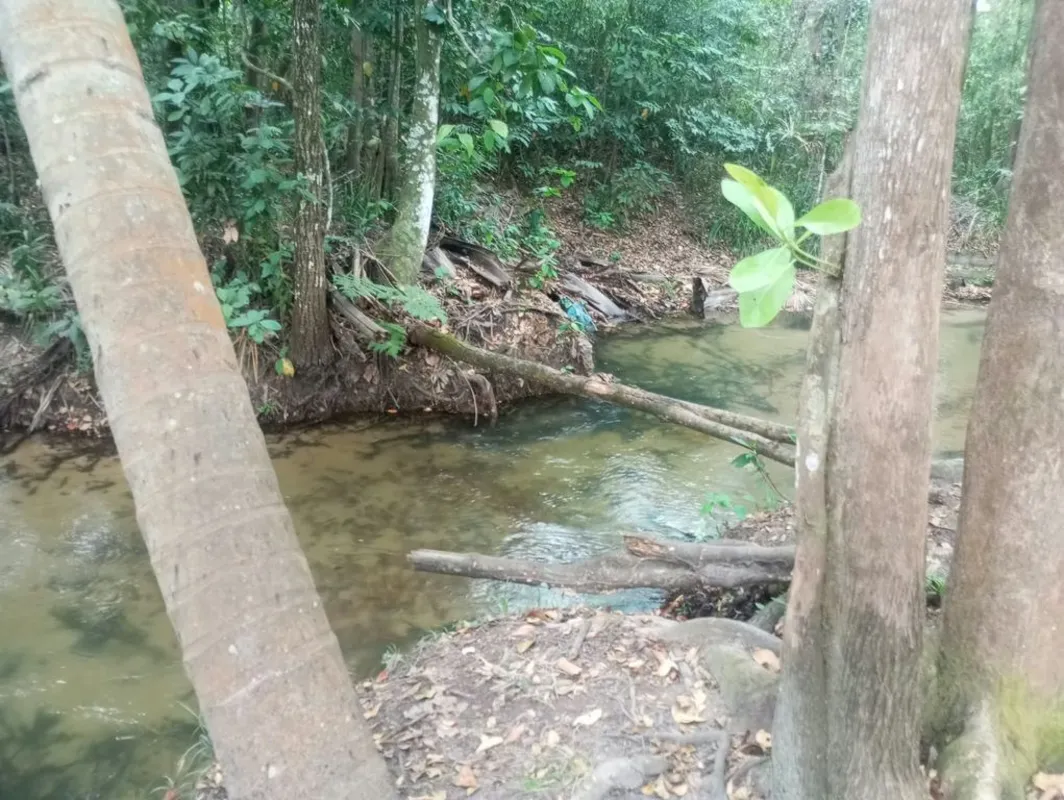 Chácara em Posse (GO) - Setor Nobre de Água Quente - com Rio e Fogão a LenhaExce...