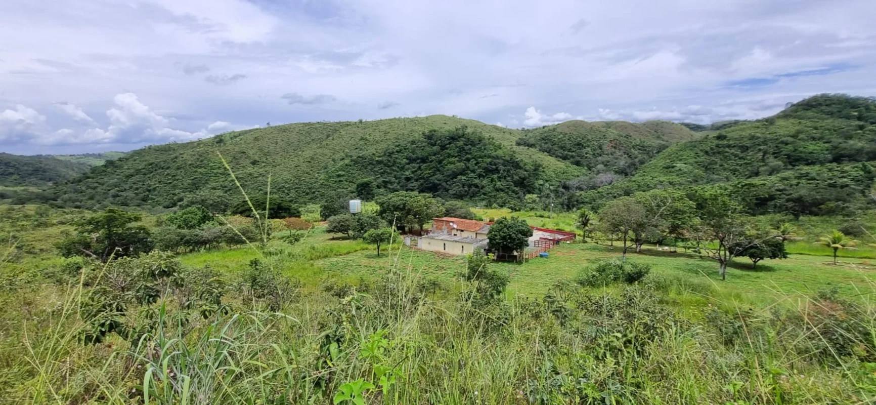 OPORTUNIDADE DE NEGÓCIO FAZENDA COM ÁREA DE 50HA GEORREFERENCIADAEXCELENTE LOCAL...