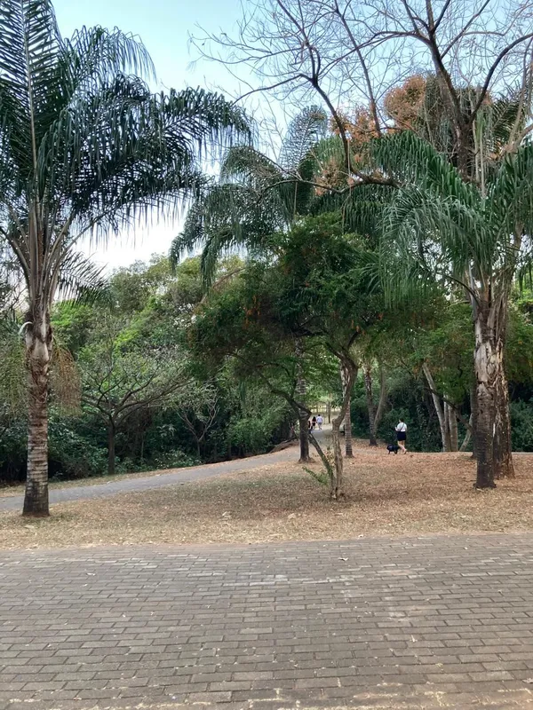 Lote quitado/escriturado de esquina, em frente ao parque Cascavel. Ótimo para co...