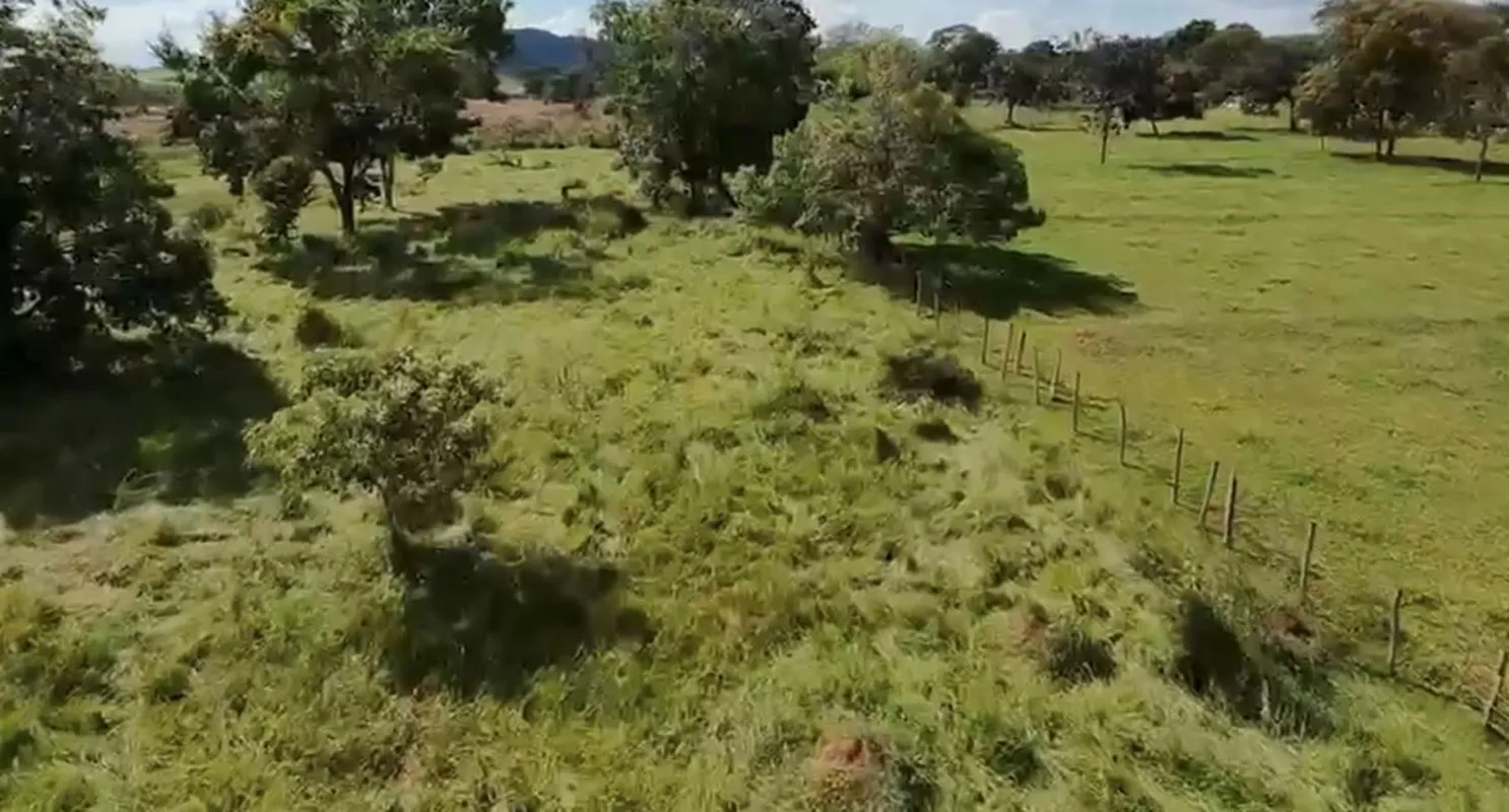 OPORTUNIDADE - CHÁCARA EM TEREZÓPOLIS DE GOIÁS Sonha em ter sua chácara no verde...