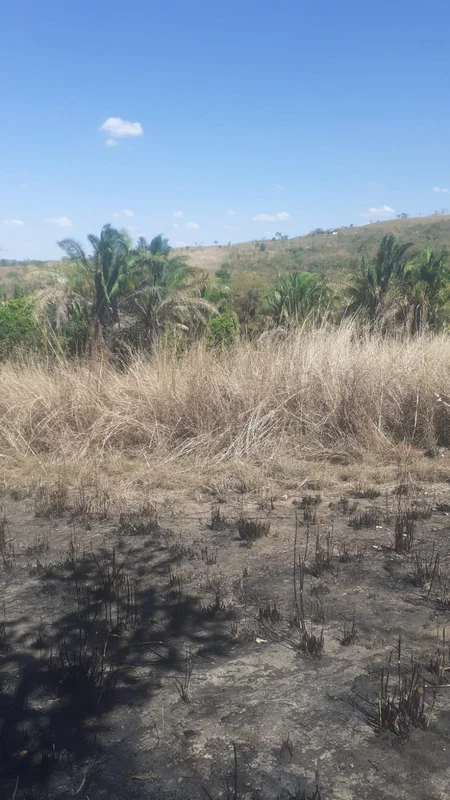 Chácara 15.0000 metros Com casa simples Terra boa Corrego Perto do asfalto 4 km ...