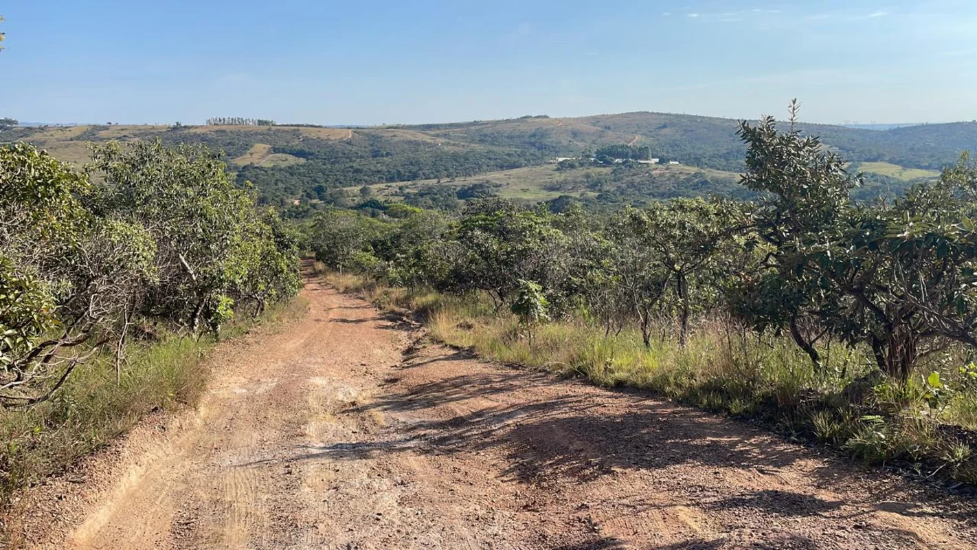 FAZENDA BURITI TIÇÃO - 20 HECTARES - CÓRREGO, CASCATA, PISCINA E CASAS - BR-060 ...