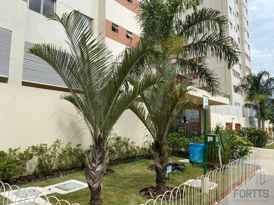 Fone 61 99881 6889* Venda 369 mil reais esta em conta para a região e só pesquis...