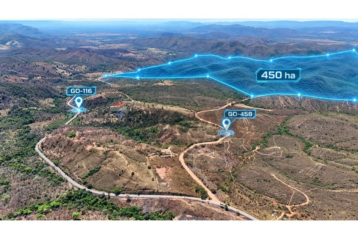 Oportunidade Rara em Formosa-GO: Fazenda Monte Líbano 450 Hectares de Pura Vocaç...