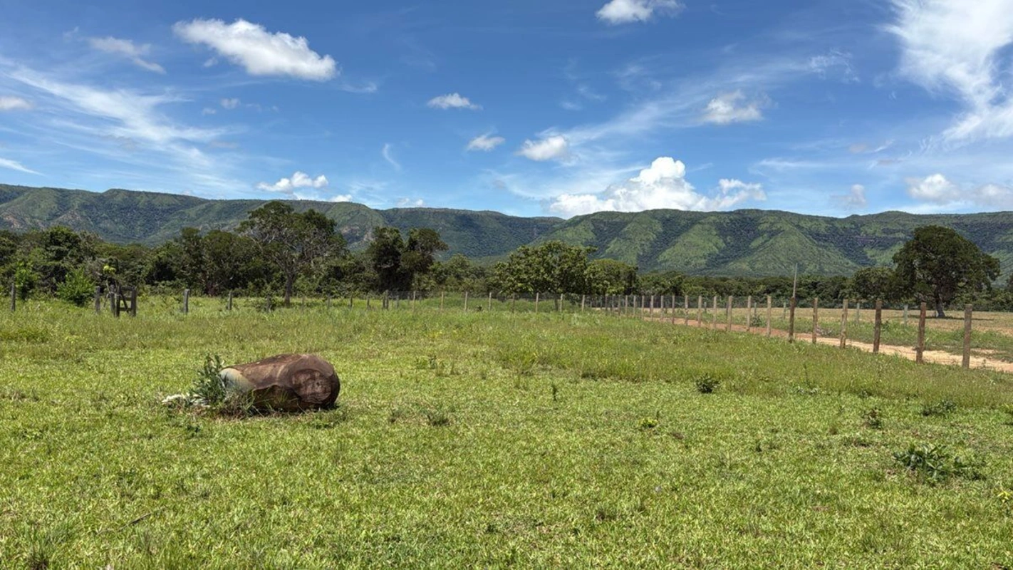 Fazenda única em Flores de Goiás com 1352 hectares, localização estratégica entr...