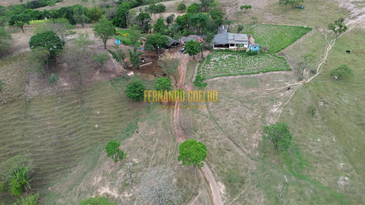 Vendo fazenda formada para pecuária e criação de gado30KM de distancia do Posto ...