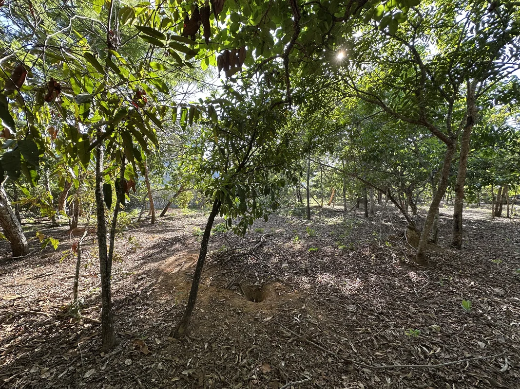 Condomínio de chácara, Lote residencial à venda no RESIDENCIAL VILLA VERDE, em S...