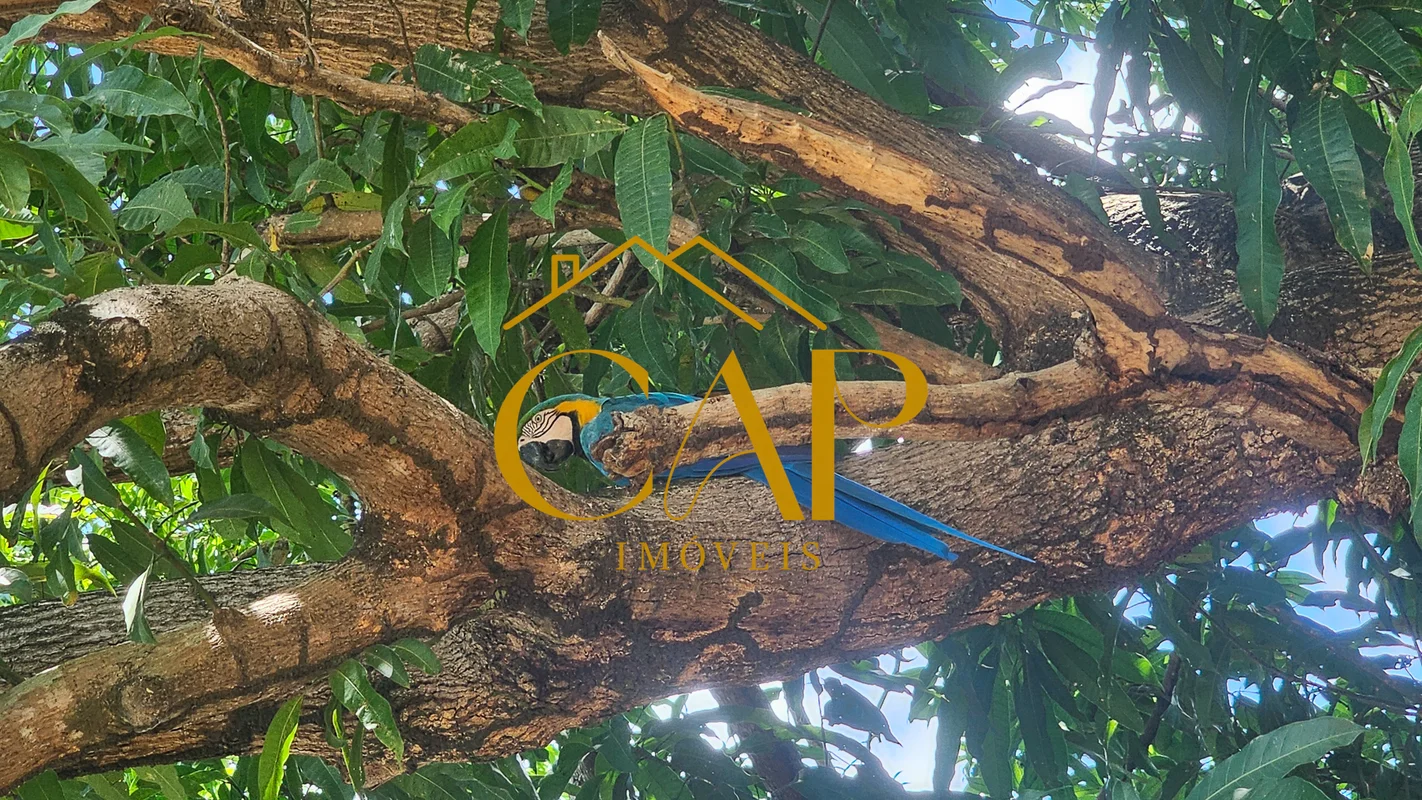 Vendo excelente fazenda em São João D'Aliança, Goiás.Localizada à 35 kms da cida...