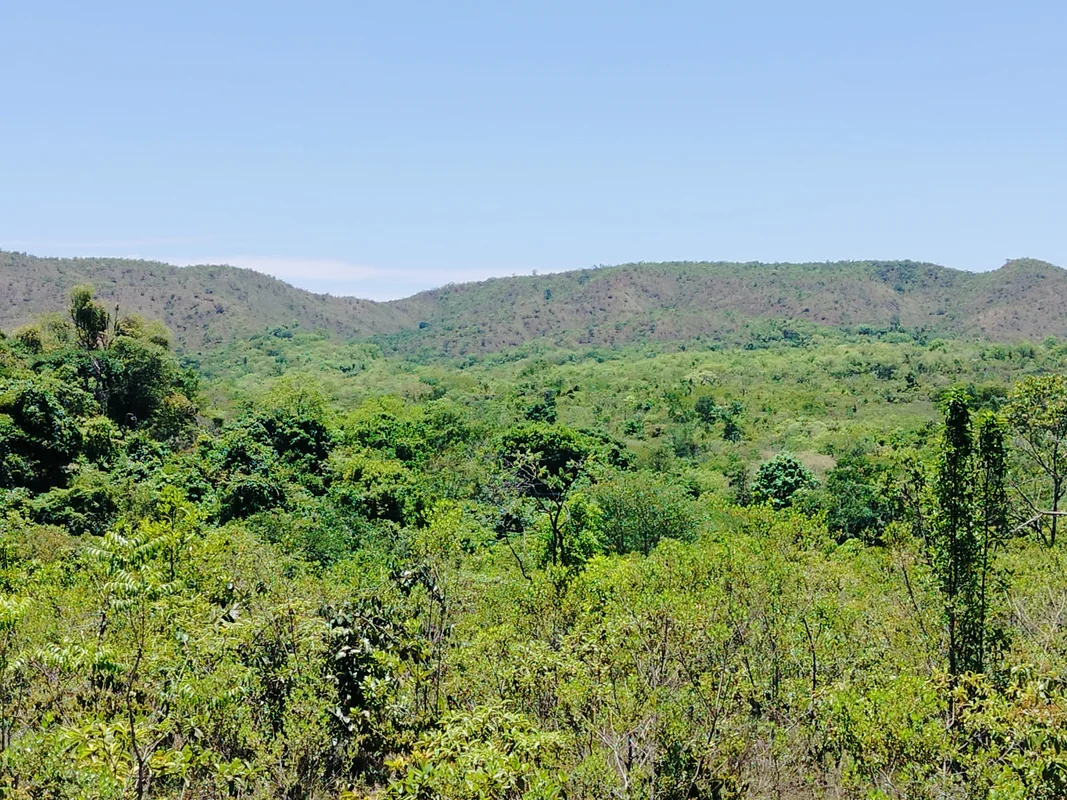 Chácara de 2 hectares, com linda vista ,Escriturada E Registrada Grande oportuni...