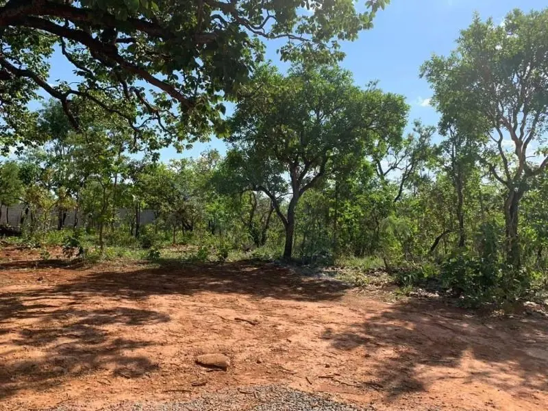 Claudio Sinimbu Vende Excelente 03 lotes juntos no total de 9 hectares, Terreno ...