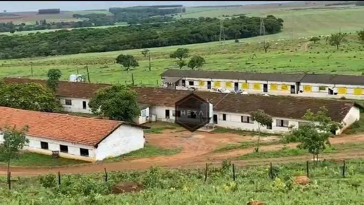 Fazenda com área de 28 alqueires no município de Anápolis, sendo 90% da terra fo...