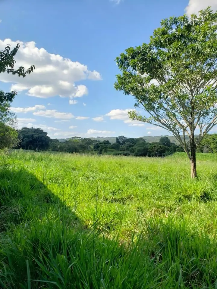 VILLA139970 - Última atualização: 08/06/26 23:31SÍTIO SAO FRANCISCO DE ASSIS1 - ...