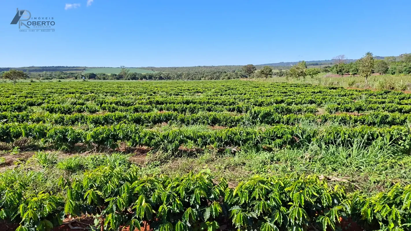 Vendo Sítio, Excelente Localização, próximo ao IFB(antigo Colégio Agrícola), Pla...
