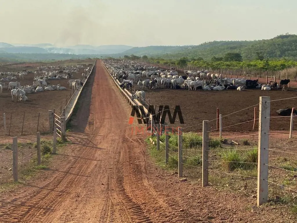 Cod: FA0090Captador RogérioFazenda Tocantins Pindorama TO3000 hectares 1.500 hec...