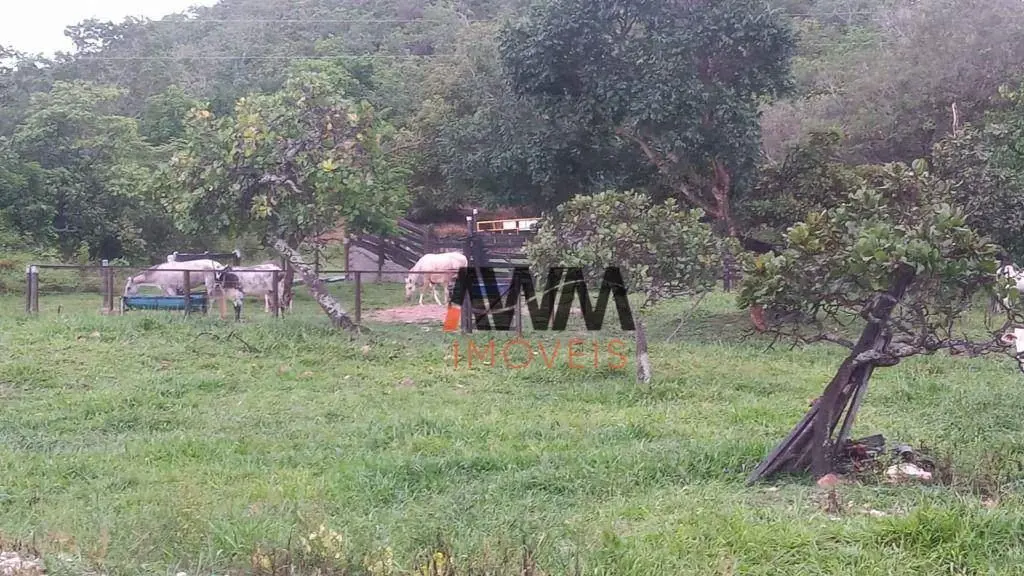 Código FA0180Captação Gerciane Fazenda de 16 Alqueires Cidade de Goiás Velho GOC...