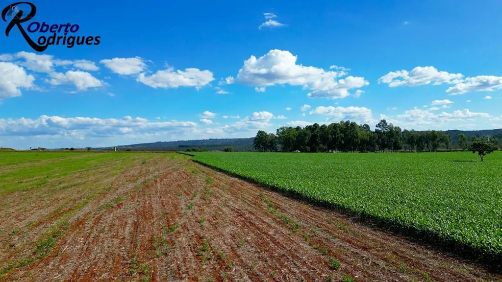 Planaltina-DF, Vendo Magnífica Propriedade, na Beira do Asfalto, 115 Hectares, S...