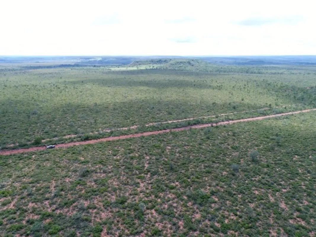 Lizarda - Tocantins Excepcional Fazenda Com 401.720 HectaresOportunidade Única d...