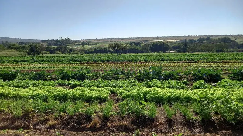 Chácara com 40.000m2 localizada na Rota do Cavalo Sobradinho/DFGalpão, bananal e...