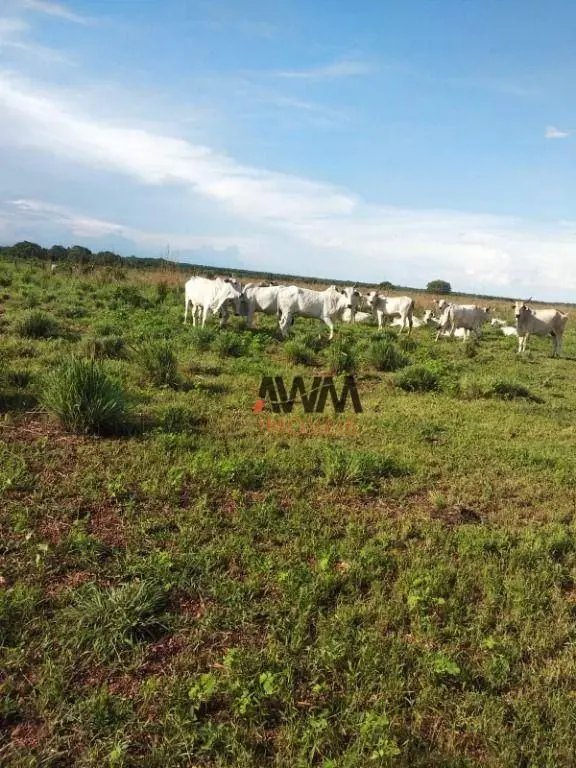 Código FA0223Captador RogérioFazenda A Venda Em Duerê TOÁrea total 1.638 alqueir...