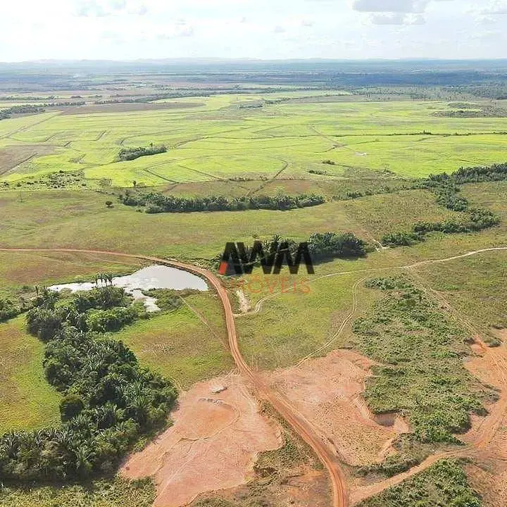 Código FA0220Captador Rogério VENDO FAZENDA EM ANANÁS TO 900 ALQUEIRES / 4.356 H...