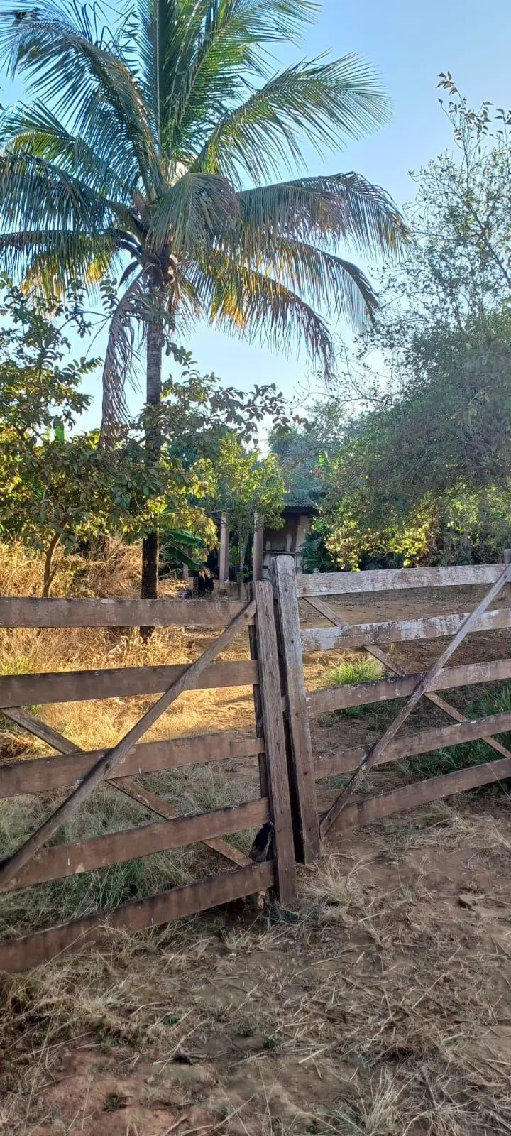 Vendo Chácara, 4 Hectares, DF-260, Casa Simples, Pomar, Poço ComumEnergia, Córre...
