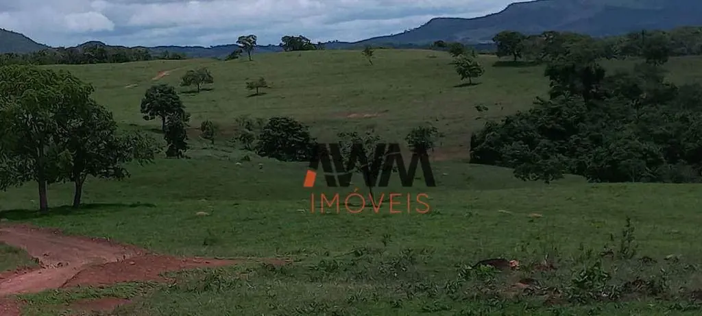 Código FA0251Captação RogérioFazenda em Itaberaí - GO39 alqueires16 km de Itaber...