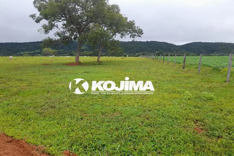 VILLA148366 - Última atualização: 03/06/26 23:31Oportunidade Única! Fazenda de 2...