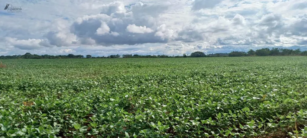 Vendo Excelente Propriedade na DF 130, próximo ao Povoado Rajadinha42 Hectares, ...