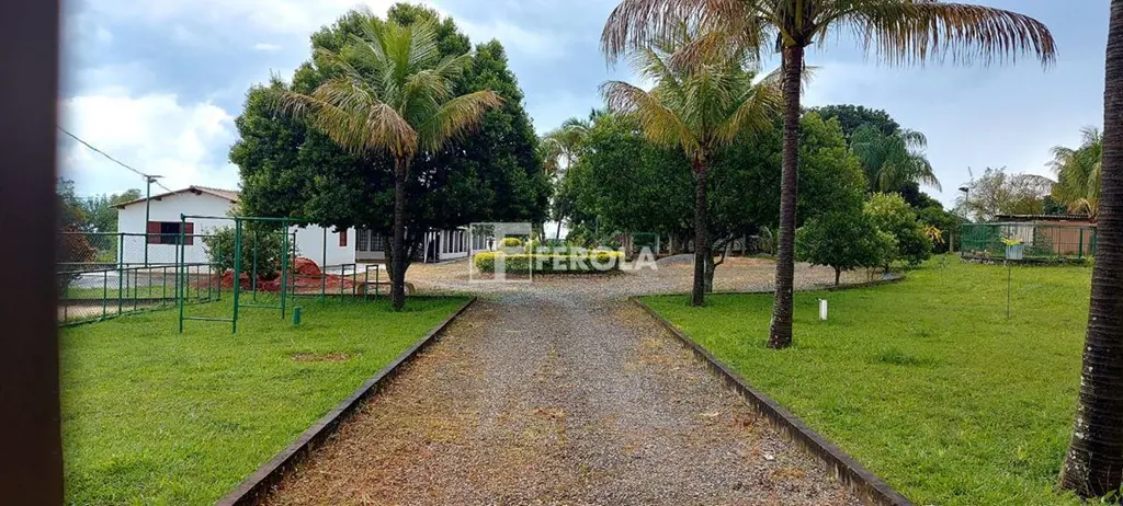 FEROLA A MAIS ACESSADA DE BRASÍLIA OFERECE :Vencedora por 12 Anos do Prémio Coli...