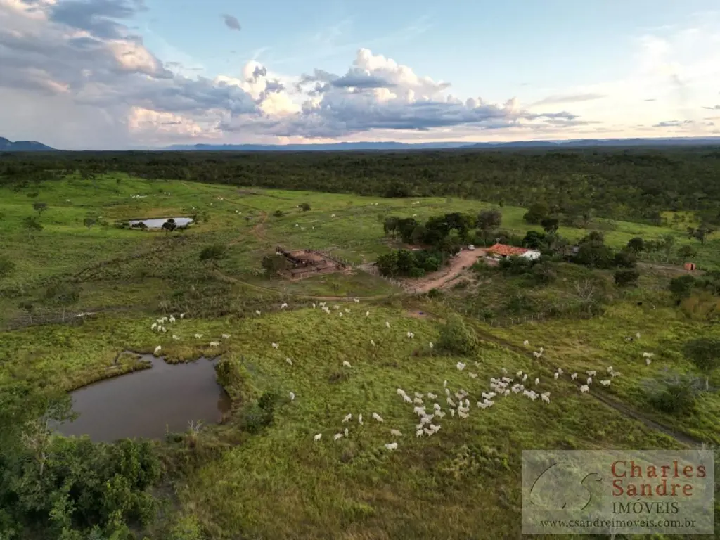Fazenda Boa Esperança Município de Paranã Tocantins. 84km de chão + 5km asfalto ...