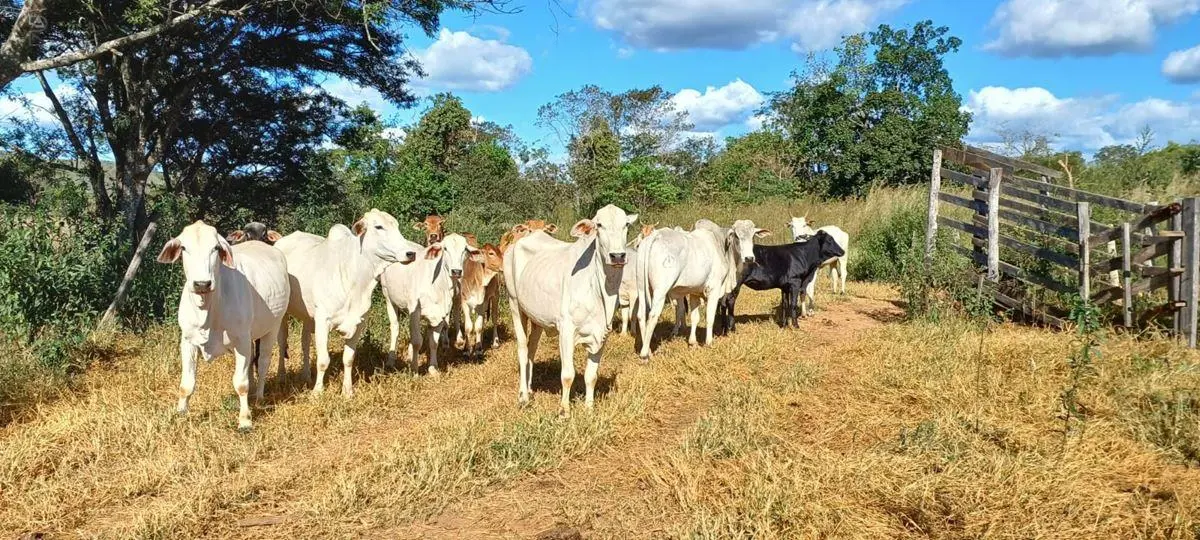 Sobradinho-DF, próxima ao IFB- Instituto Federal de Brasília, antigo Colégio Agr...