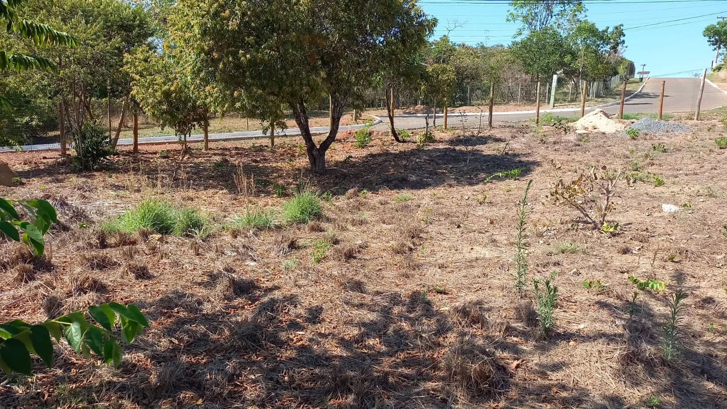 Condomínio Solar da Serra Qd. A Lote 10 - Com água ligada, inventário florístico...