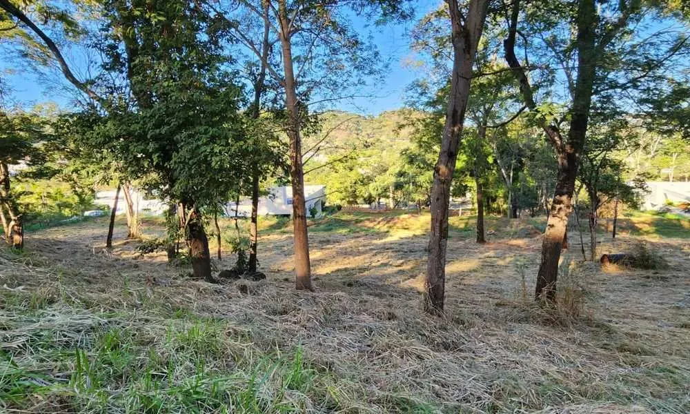 Belo terreno no Lado Alto. Região privilegiada,possibilidade de vista para área ...