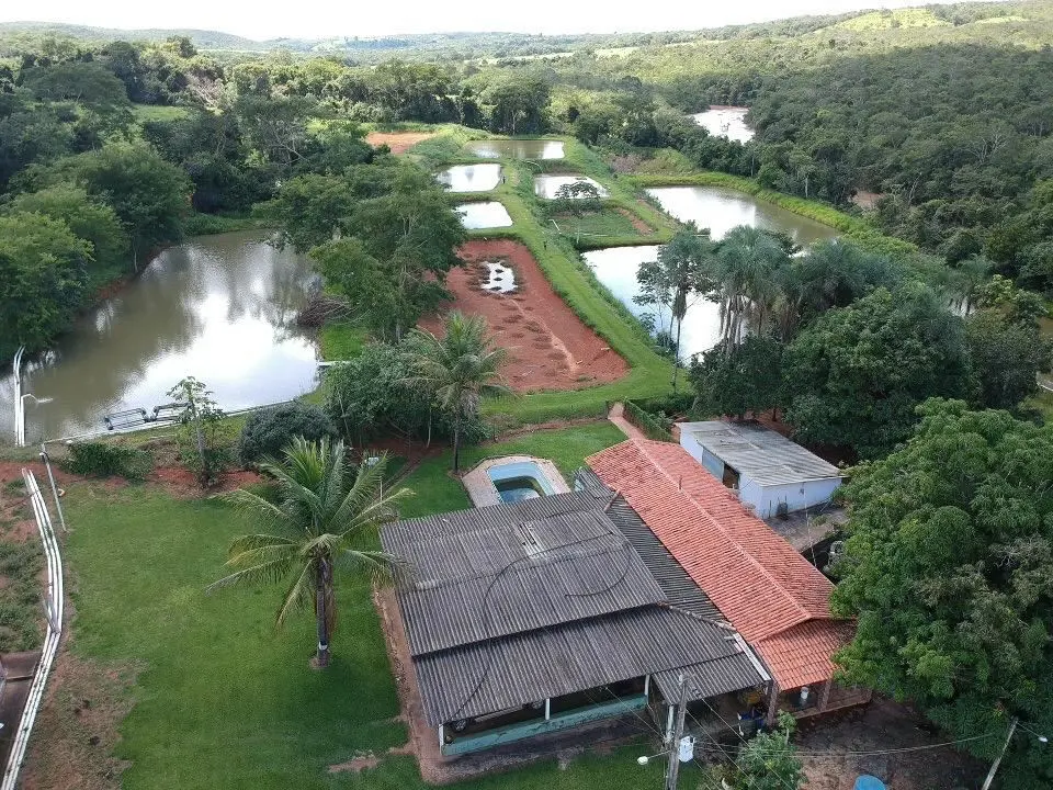 Oportunidade! um lugar pra se viver com a tranquilidade da natureza bem arboriza...
