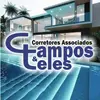 Campos e Teles